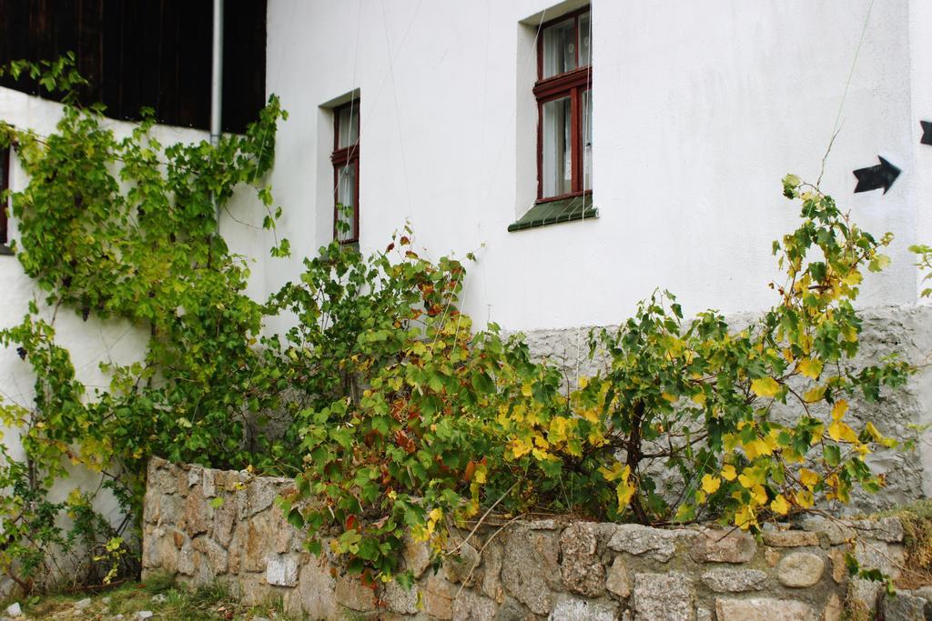 Pensjonat Nostalgia Sosnówka Exterior foto